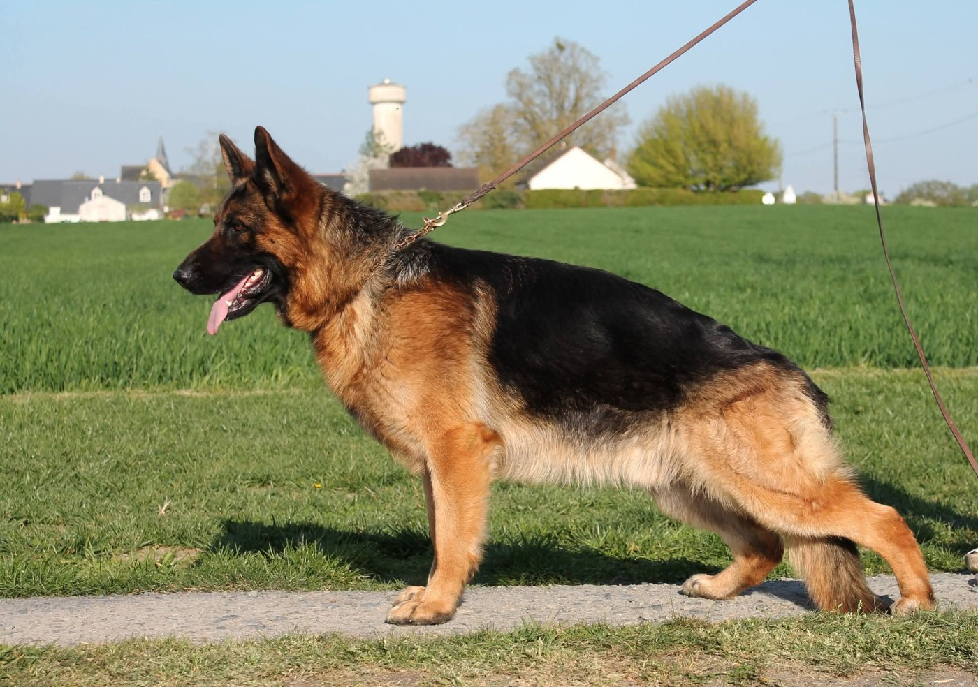 Thor du val d anzin